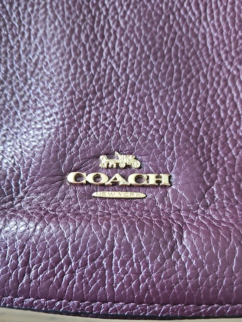 Coach elle hobo